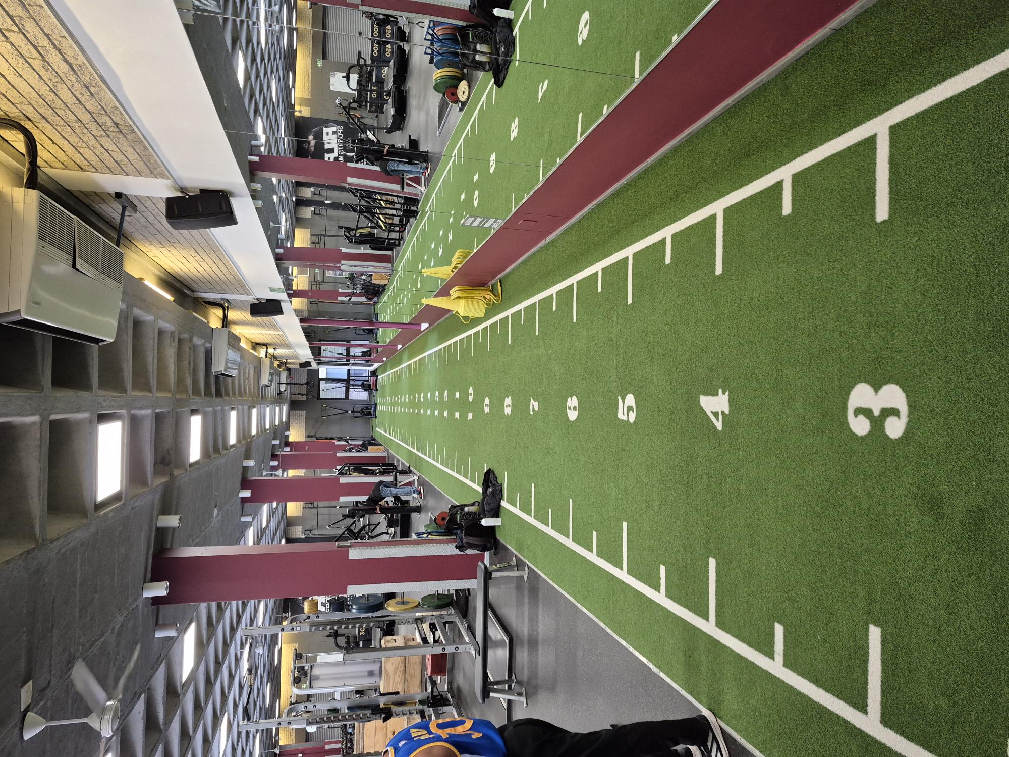 Functional turf training zone